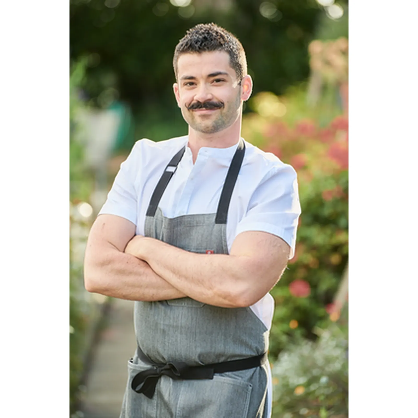 Joe Sasto biography profile