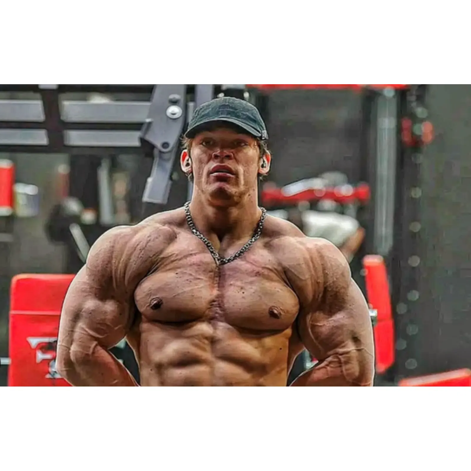Sam Sulek biography profile